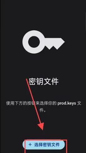 sudachi模拟器金手指版怎么用