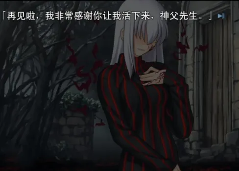 命运之夜直装版 命运之夜直装版