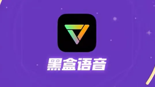黑盒语音 黑盒语音