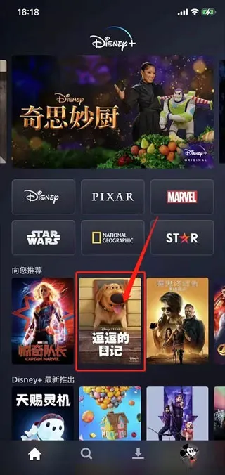 怎么调画质和离线下载 怎么调画质和离线下载