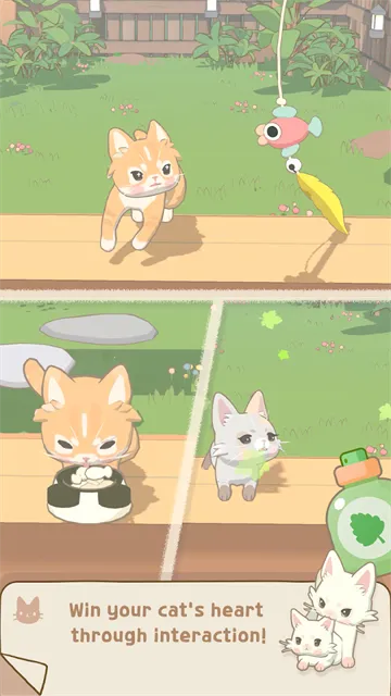 窗外的猫国际服下载截图1