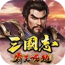 三国志霸王崛起