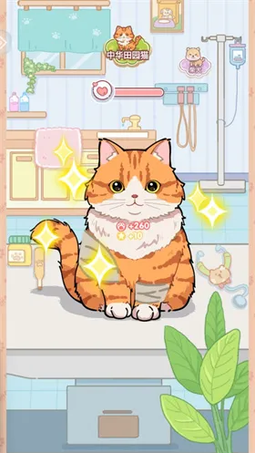 糖果猫手游正式版怎么玩：