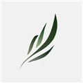东南小说1.4.08版