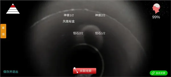 孙美琪疑案井底人