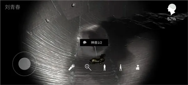 孙美琪疑案井底人