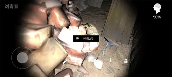 孙美琪疑案井底人