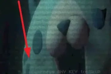 波比的游戏时间喂食时刻新手教程 波比的游戏时间喂食时刻新手教程
