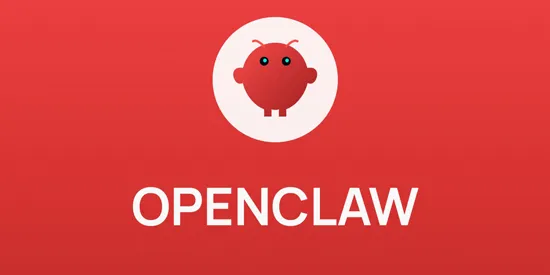 OpenClaw Node OpenClaw Node