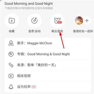网易云音乐谷歌商店1.0初代原版怎么调音效 网易云音乐谷歌商店1.0初代原版怎么调音效