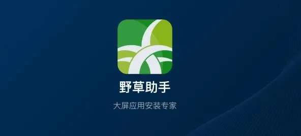 野草助手最好用的影视 野草助手最好用的影视