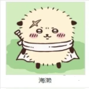 口袋吉伊卡哇游戏角色介绍 口袋吉伊卡哇游戏角色介绍