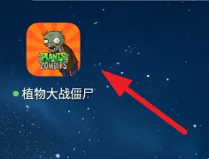 植物大战僵尸FM版怎么玩的 植物大战僵尸FM版怎么玩的