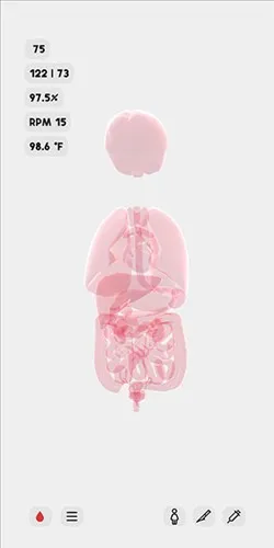 生命life游戏中文版怎么玩 生命life游戏中文版怎么玩