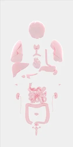 生命life游戏中文版怎么玩 生命life游戏中文版怎么玩