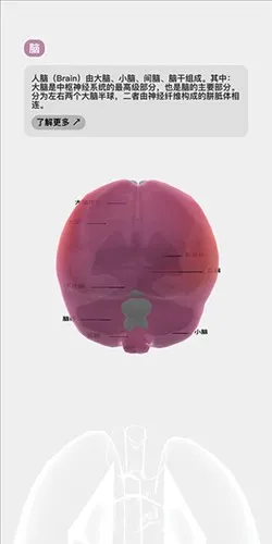 生命life游戏中文版怎么玩 生命life游戏中文版怎么玩