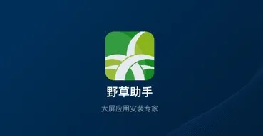 野草助手tv版