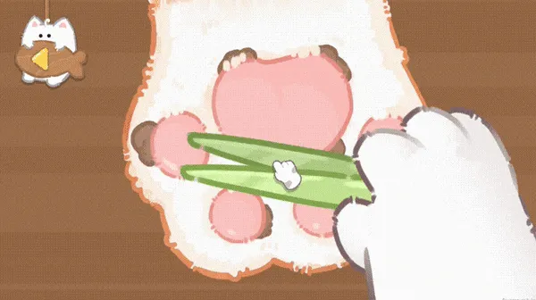猫咪疗愈所