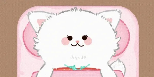 猫咪疗愈所