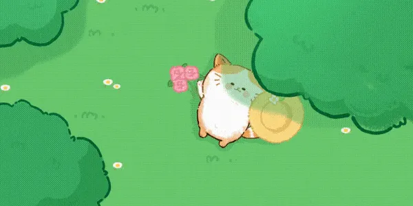 猫咪疗愈所
