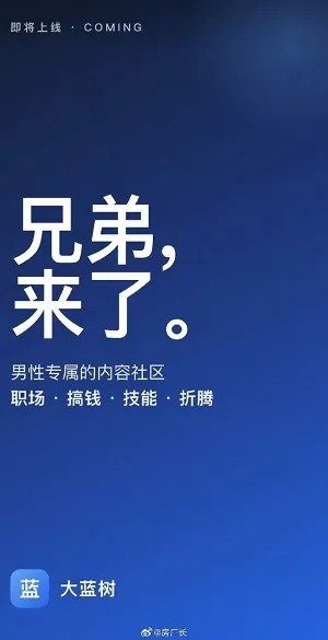 大蓝树app官方版技巧 大蓝树app官方版技巧
