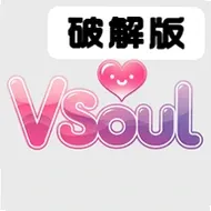 vsoul