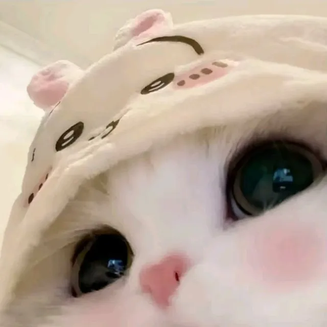 小蛋糕启动器