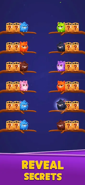 Kitten Jam Sort小猫果酱黑游戏截图1