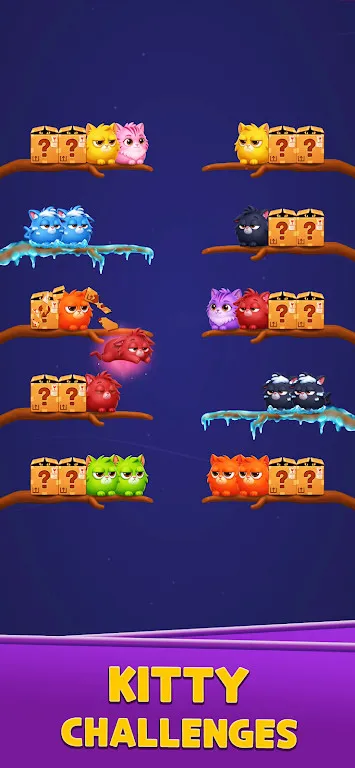 Kitten Jam Sort小猫果酱黑游戏截图4