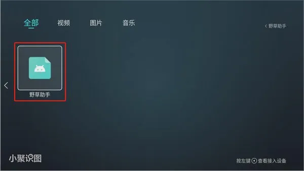 野草助手TV版2026最新版截图1