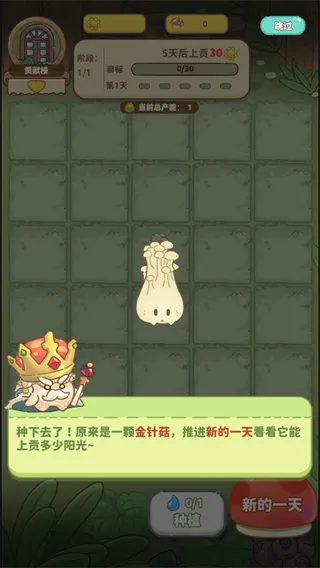 菇菇种植日记