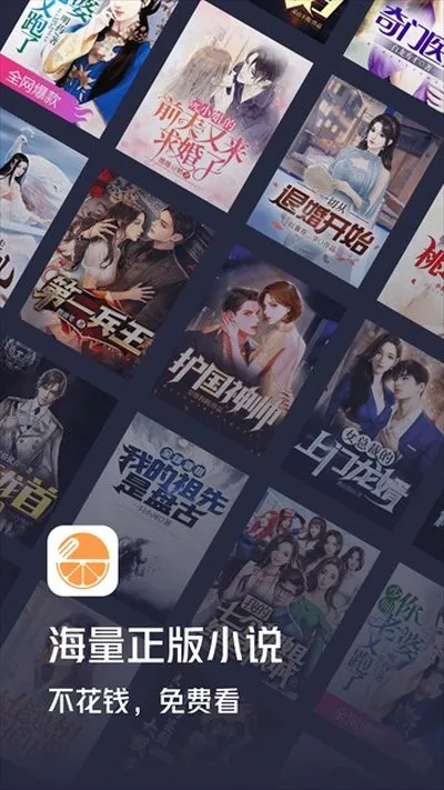 青橙小说安卓版截图4
