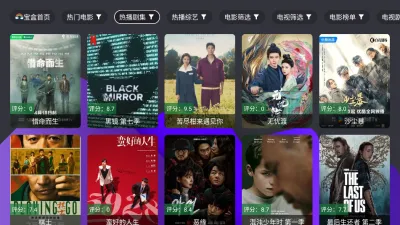 宝盒TV内置版电视盒子怀旧版截图3