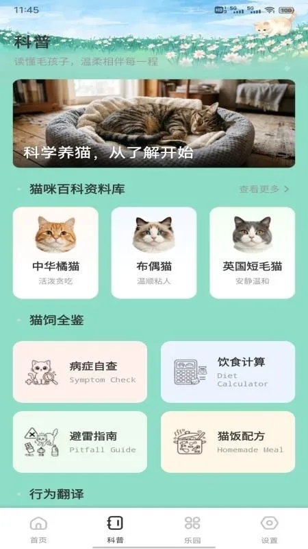 飞菲猫助手2026最新版截图2