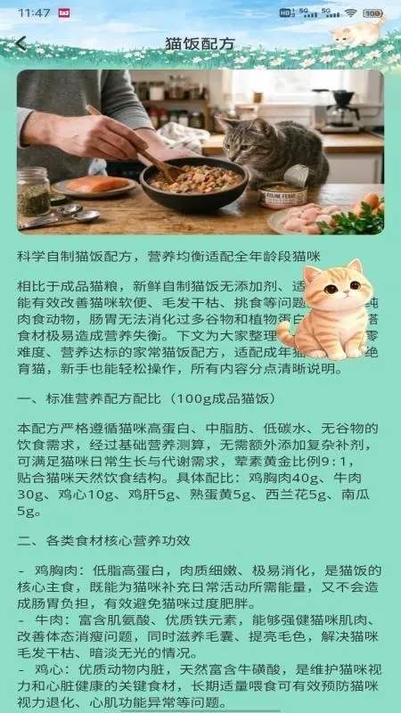 飞菲猫助手2026最新版截图1