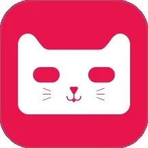 飞菲猫助手官方正版