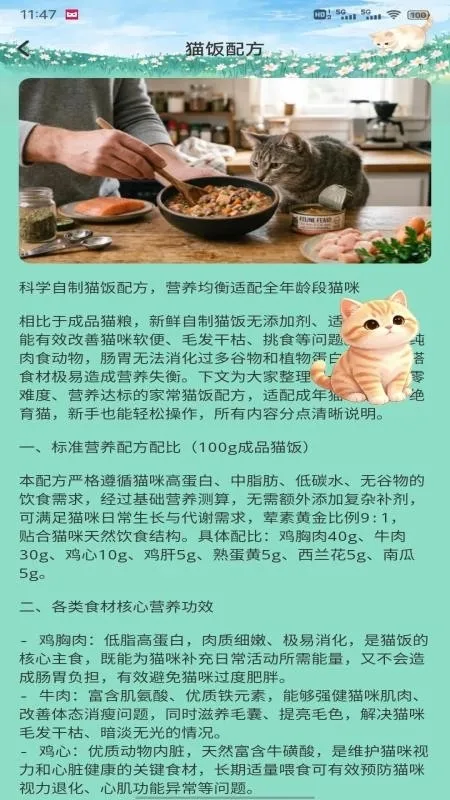 飞菲猫助手2026最新版亮点