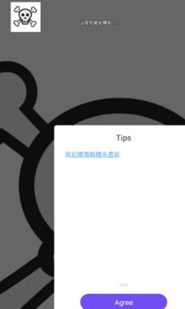 骷髅头直装