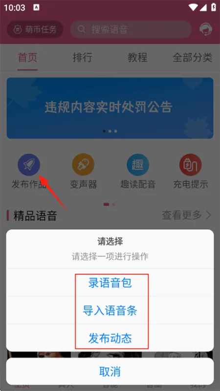 添加配音3