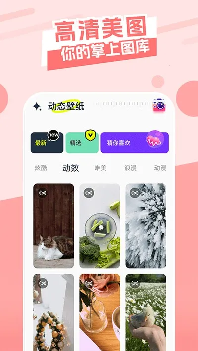 主题库app永久会员版截图2