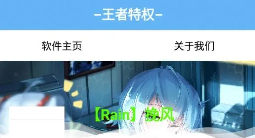王者特权 王者特权