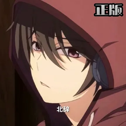 北辞弱网内部版