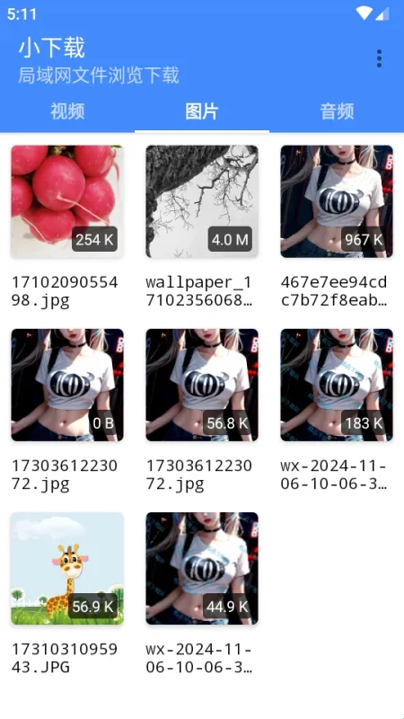 小下载app软件功能