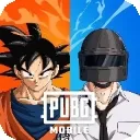 广角助手9.1版