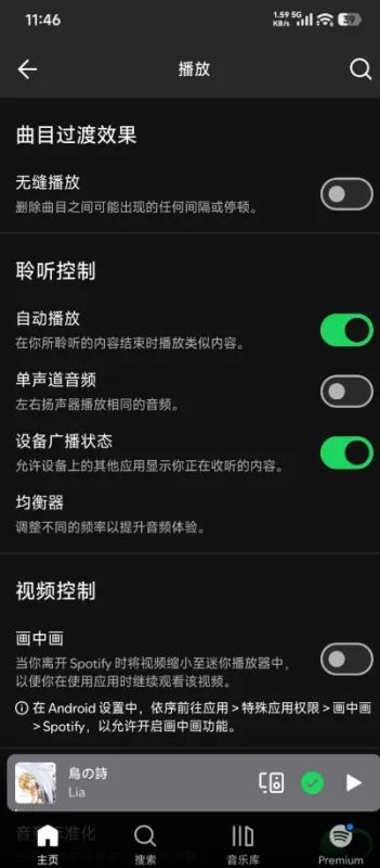 Lyrics Plus歌词增强工具截图3