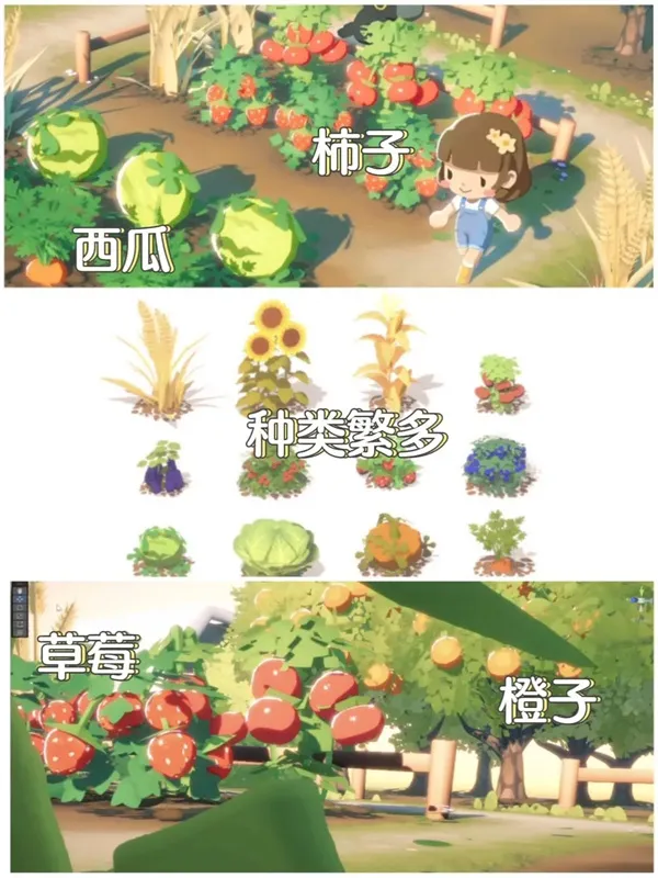 游戏攻略截图1