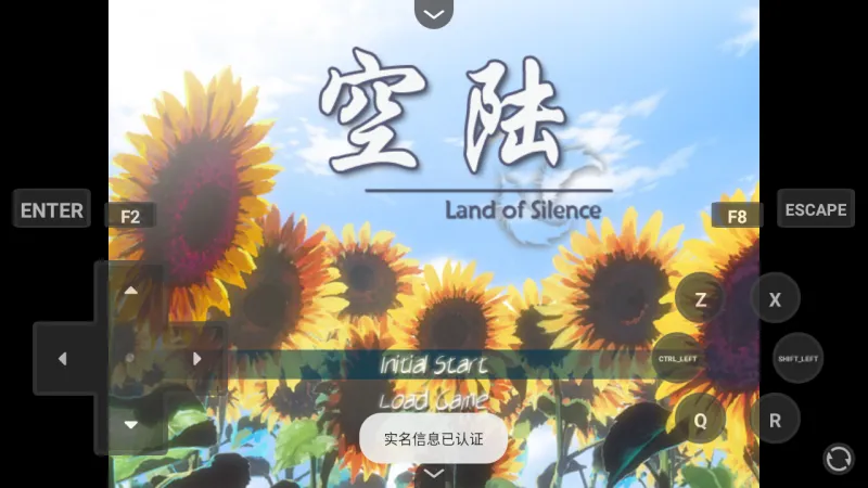 怎么玩截图1