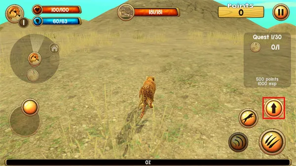 猎豹模拟器(Wild Cheetah Sim)
