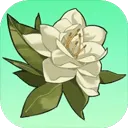 小城茉莉手游官方正版