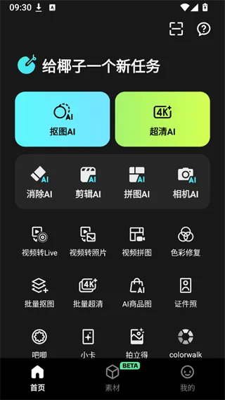 椰子设计
